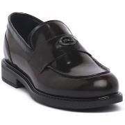 Kengät NeroGiardini  NERO GIARDINI 613 ASPORT BORDO  37