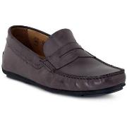 Kengät Antica Cuoieria  SOLDINI TEQUILA 1621  40