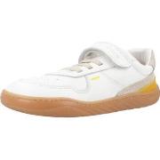 Tennarit Primigi  ESCLAVA AMALFI  24