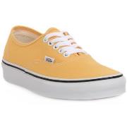 Tennarit Vans  AUTHENTIC  37