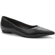 Balleriinat Keddo  -  36