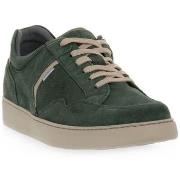 Kengät NeroGiardini  NERO GIARDINI 528 CAMOSCIO COLORADO  43