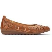 Balleriinat Pikolinos  Alcoi  38