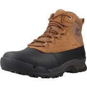 Saappaat Sorel  BUXTON LITE LACE PLUS  40