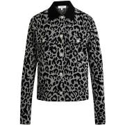 Neuleet / Villatakit Morgan  252-MBOLEO  EU S