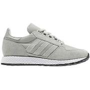 Kengät adidas  Forest Grove W  37 1/3