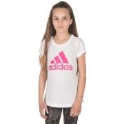 T-paidat & Poolot adidas  DV0321  EU L