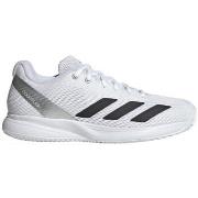Kengät adidas  Courtflash Speed 2  42