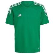 Lyhythihainen t-paita adidas  Tiro 23 League Jersey JR  EU XS