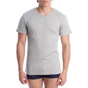 Aluspaidat Abanderado  A0255-1W340  EU XXL