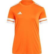 Lyhythihainen t-paita adidas  JC8662  EU XXL