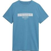 Lyhythihainen t-paita 4F  4FSS23TTSHM30334S  EU M