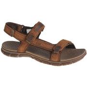 Sandaalit Caterpillar  Atchison Sandals  44