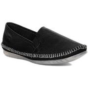 Kengät Maciejka  T351271000  36