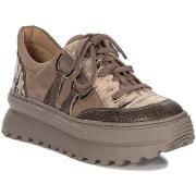 Kengät Maciejka  0656204008  36