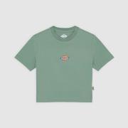 Lyhythihainen t-paita Dickies  MAPLE  EU S