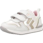 Tennarit Falcotto  HACK 2 VL.  19