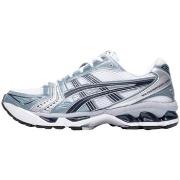 Naisten kengät Asics  Gel-Kayano 14 White Fjord Grey  45