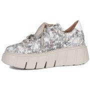 Kengät Maciejka  6891W02008  37