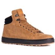 Kengät Bustagrip  TRANSIT  40