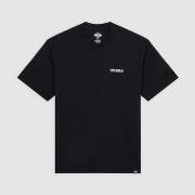 Lyhythihainen t-paita Dickies  BURNS TEE SS  EU S