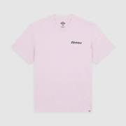 Lyhythihainen t-paita Dickies  STATESVILLE TEE  EU S