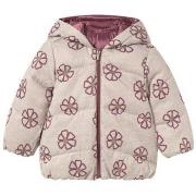 Takit Mayoral  2437 Rosa  12 kuukautta