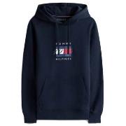 Svetari Tommy Hilfiger  LINEAR FLAG GRAPHIC HOOD  EU S