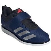 Kengät adidas  Powerlift 5  42