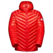 Pusakka Mammut  1013029623778  EU M