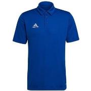 Lyhythihainen poolopaita adidas  Entrada 22  EU XL