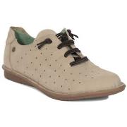 Kengät Maciejka  P681010001  36