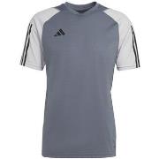Lyhythihainen t-paita adidas  Tiro 23 Competition  EU XXL