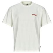 Lyhythihainen t-paita Dickies  DRY RIDGE SS TEE EGRET  EU S