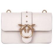 Olkalaukut Pinko  105856A0F1  Yksi Koko