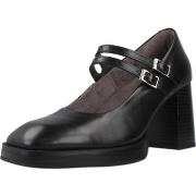 Korkokengät Pitillos  10864P  36