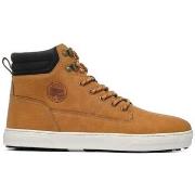 Kengät O'neill  Albion Men High  41