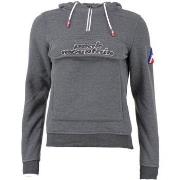 Svetari Peak Mountain  Sweat à capuche femme AFLOW  EU S
