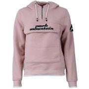 Svetari Peak Mountain  Sweat à capuche femme AFLOW  EU S