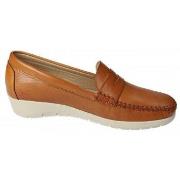 Kengät Parymedio  -  36