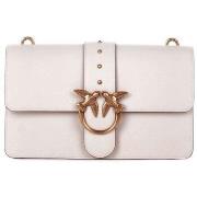 Olkalaukut Pinko  105857A0F1  Yksi Koko