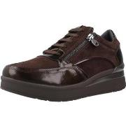 Kengät Stonefly  CREAM 58 VELOUR/S PATENT  36