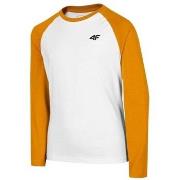 T-paidat pitkillä hihoilla 4F  JTSML001  Yksi Koko