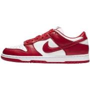 Kengät Nike  Dunk Low University Red  44 1/2