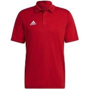 Lyhythihainen t-paita adidas  Entrada 22  EU M