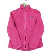 Fleecet The North Face  285414  EU M