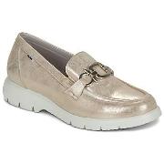 Kengät Fluchos  GLADIS  37