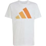 Lyhythihainen t-paita adidas  J Bl Tee 160  11 / 12 vuotta