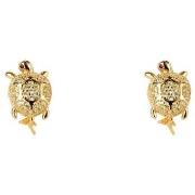 Korvakorut LANCASTER  jlaearturtle6  Yksi Koko