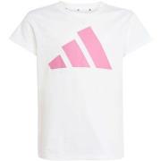 Lyhythihainen t-paita adidas  Jg Bl Tee 160  11 / 12 vuotta